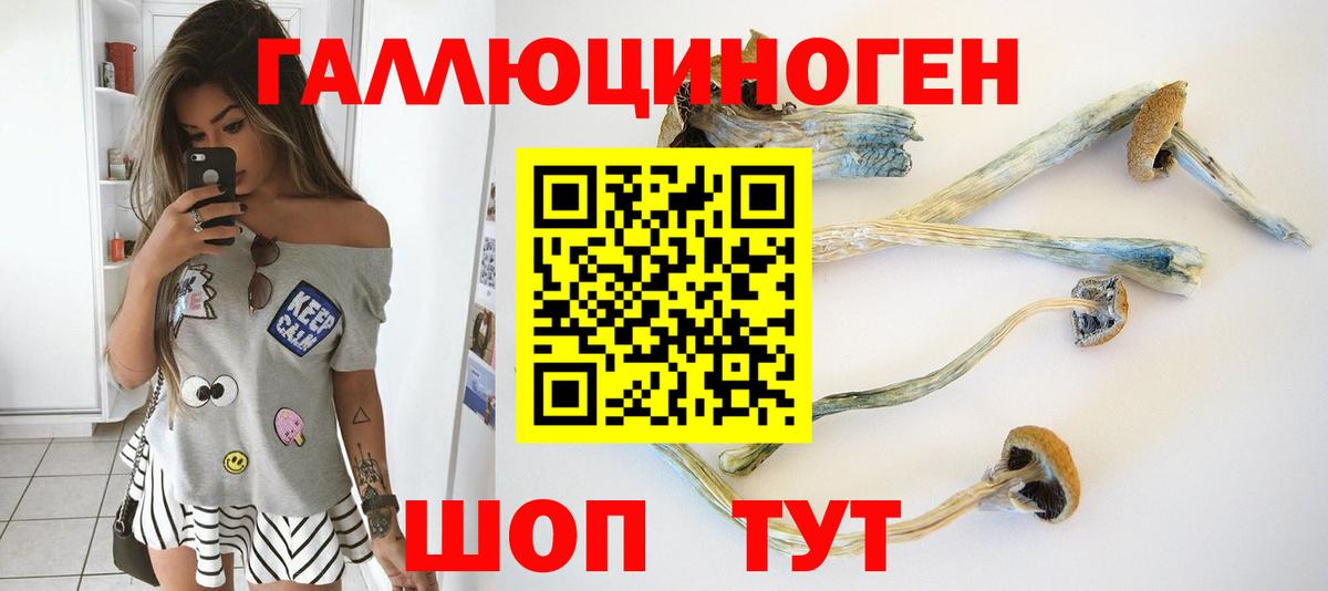 Галлюциногенные грибы MAGIC MUSHROOMS Дзержинский